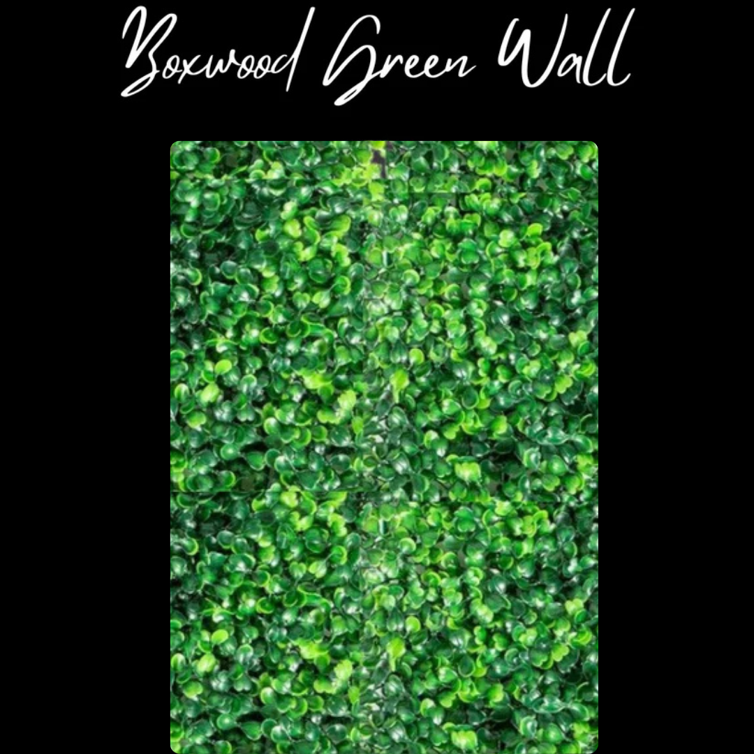 Boxwood Green Wall Backdrop Made To Pop ~ Starting At