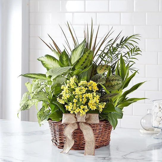 Sympathy Garden Basket