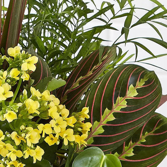 Sympathy Garden Basket