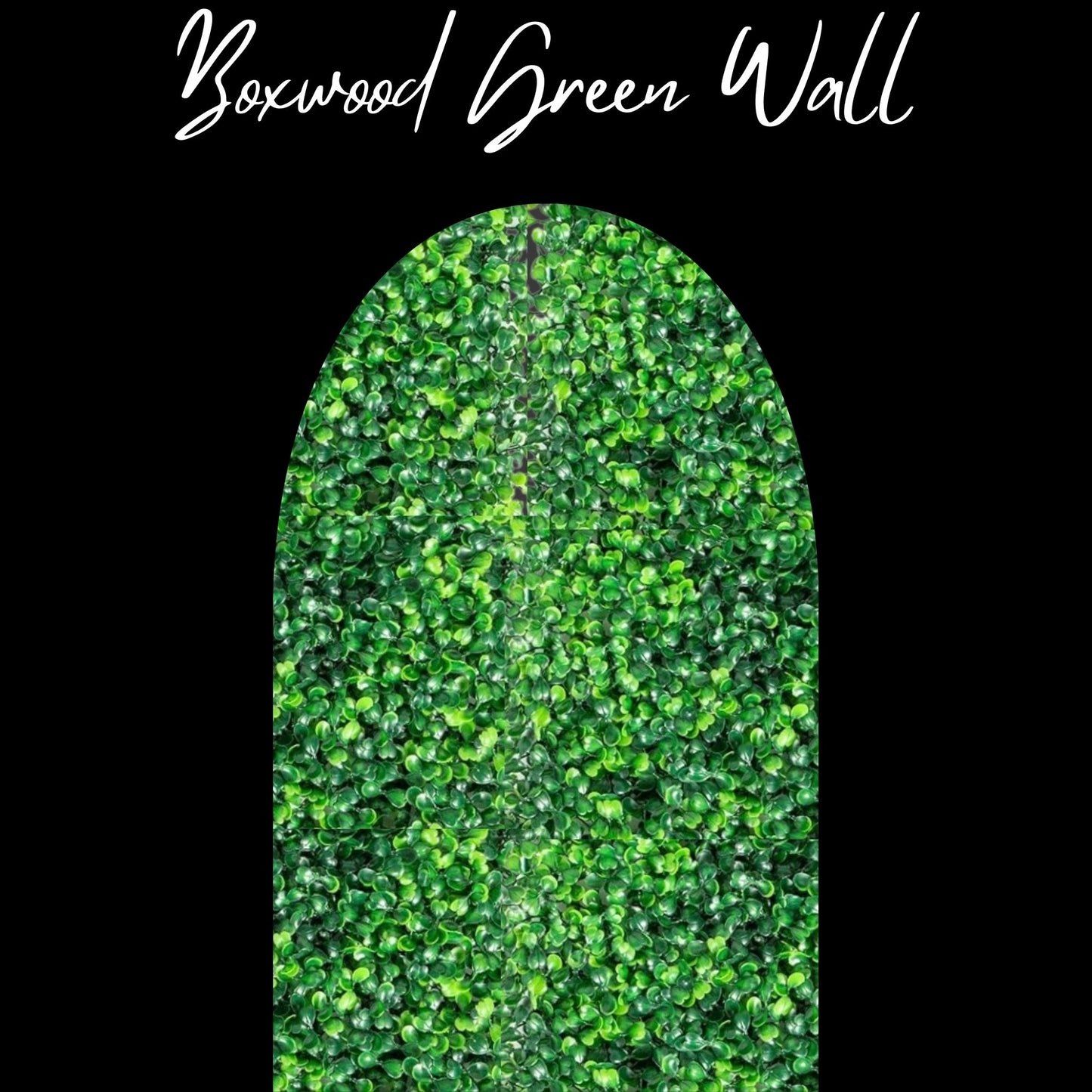 Boxwood Green Wall Backdrop Made To Pop ~ Starting At